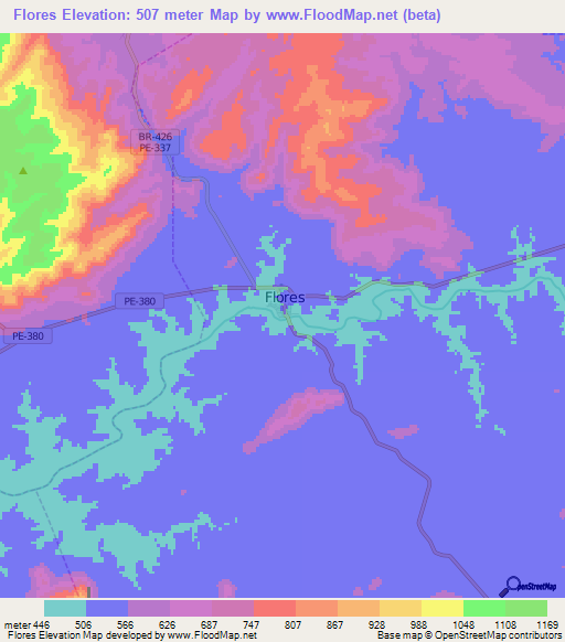Flores,Brazil Elevation Map