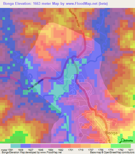 Bonga,Ethiopia Elevation Map