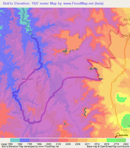 Bok'lo,Eritrea Elevation Map
