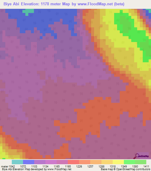 Biye Abi,Ethiopia Elevation Map