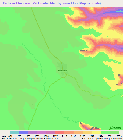 Bichena,Ethiopia Elevation Map