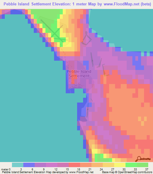 Pebble Island Settlement,Falkland Islands Elevation Map