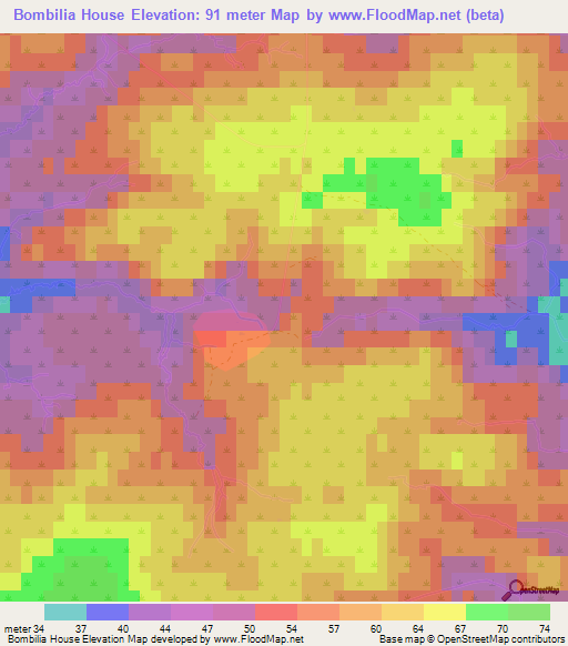 Bombilia House,Falkland Islands Elevation Map