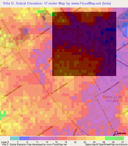 Villa D. Sobral,Argentina Elevation Map