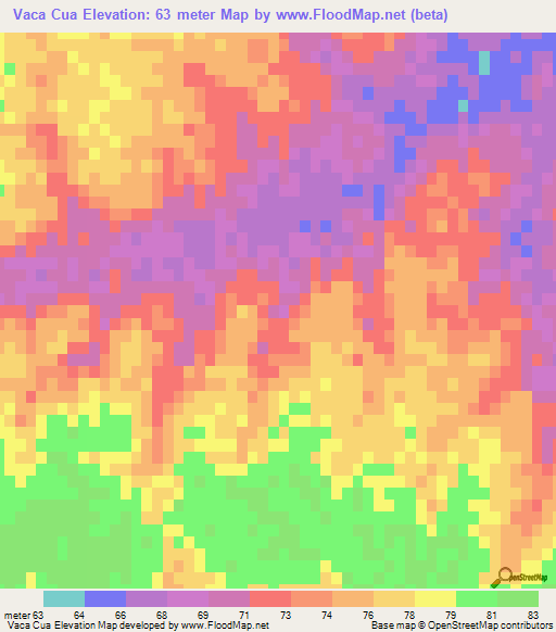 Vaca Cua,Argentina Elevation Map