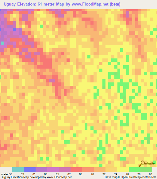 Uguay,Argentina Elevation Map