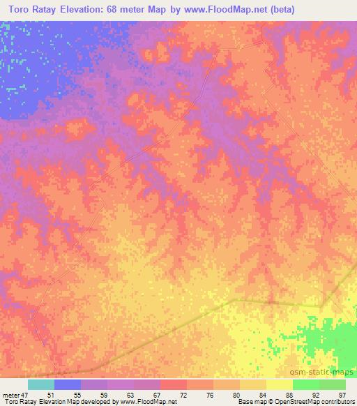 Toro Ratay,Argentina Elevation Map