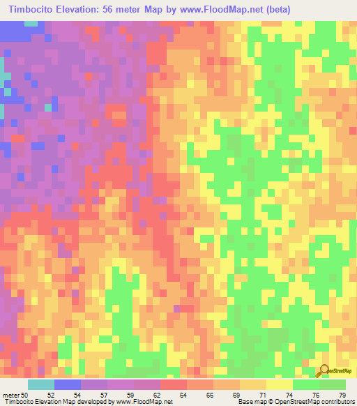 Timbocito,Argentina Elevation Map