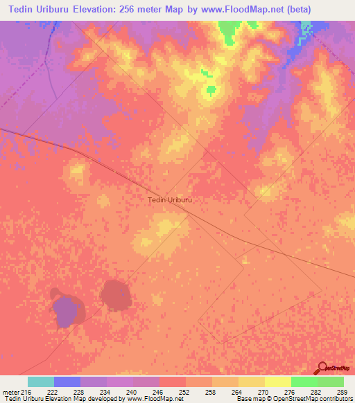 Tedin Uriburu,Argentina Elevation Map