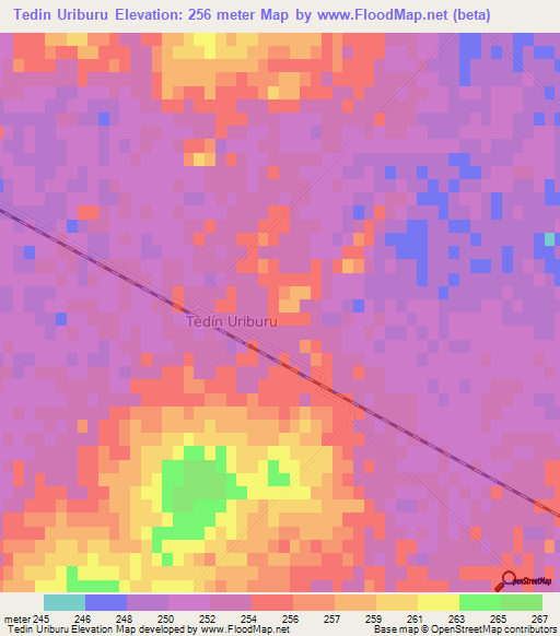 Tedin Uriburu,Argentina Elevation Map