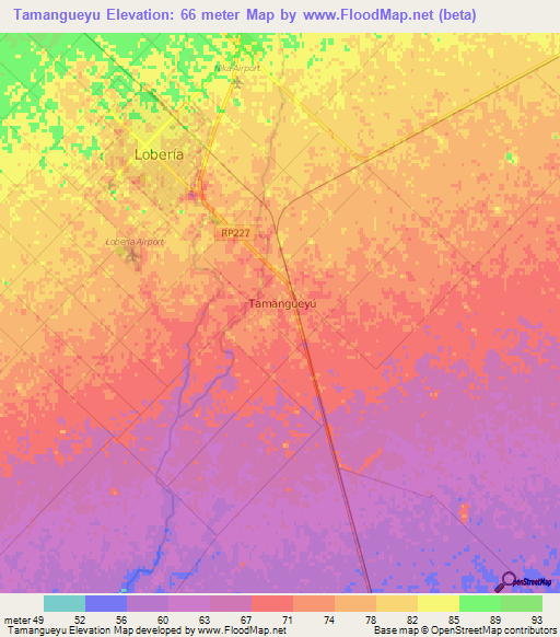 Tamangueyu,Argentina Elevation Map