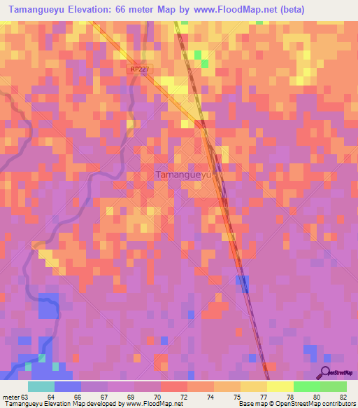 Tamangueyu,Argentina Elevation Map