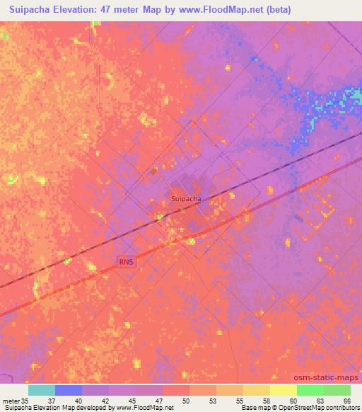 Suipacha,Argentina Elevation Map