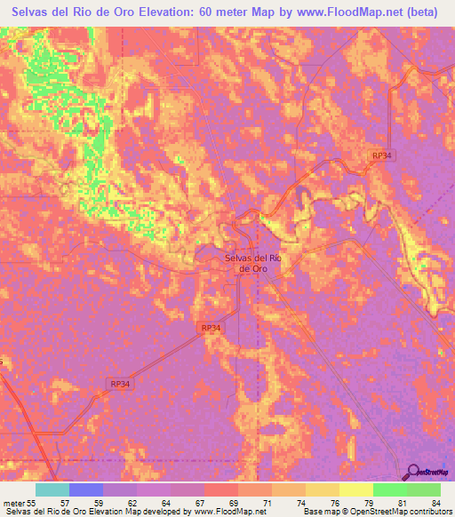 Selvas del Rio de Oro,Argentina Elevation Map