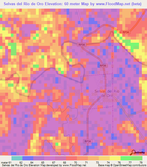 Selvas del Rio de Oro,Argentina Elevation Map