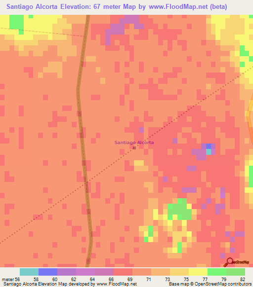 Santiago Alcorta,Argentina Elevation Map