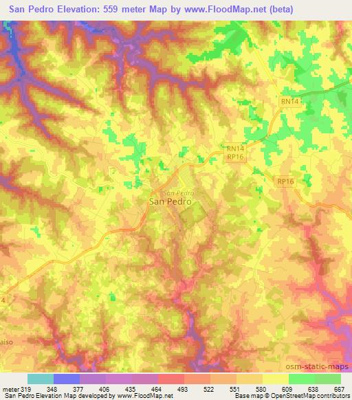 San Pedro,Argentina Elevation Map