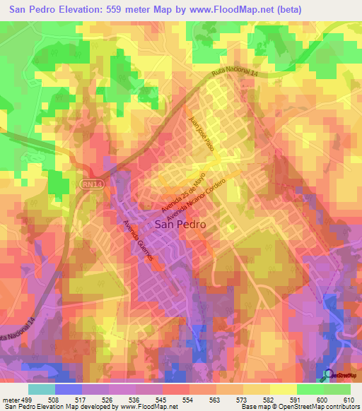 San Pedro,Argentina Elevation Map