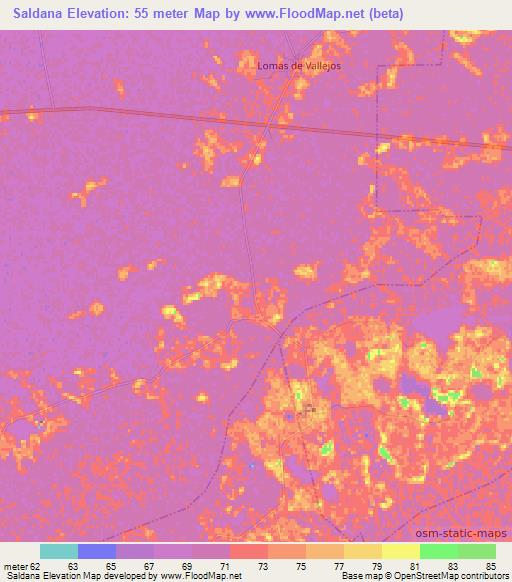 Saldana,Argentina Elevation Map