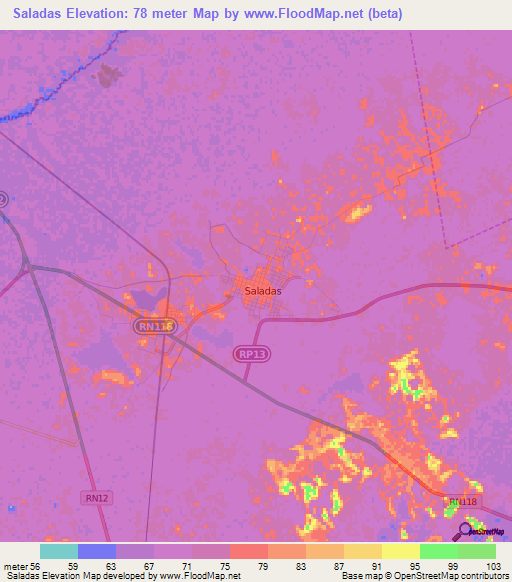 Saladas,Argentina Elevation Map
