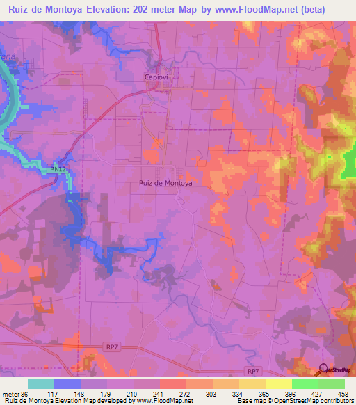 Ruiz de Montoya,Argentina Elevation Map