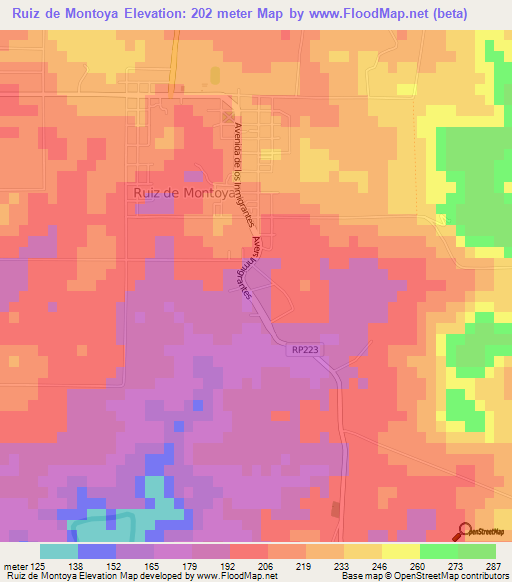 Ruiz de Montoya,Argentina Elevation Map