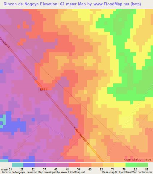 Rincon de Nogoya,Argentina Elevation Map