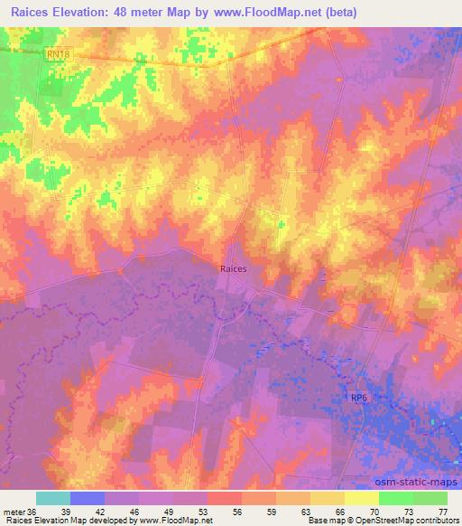 Raices,Argentina Elevation Map