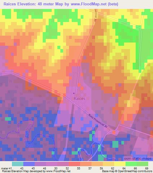 Raices,Argentina Elevation Map