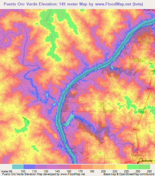 Puerto Oro Verde,Argentina Elevation Map