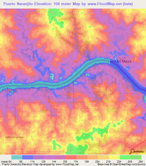Puerto Naranjito,Argentina Elevation Map