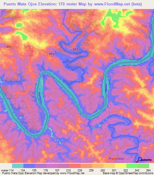 Puerto Mata Ojos,Argentina Elevation Map