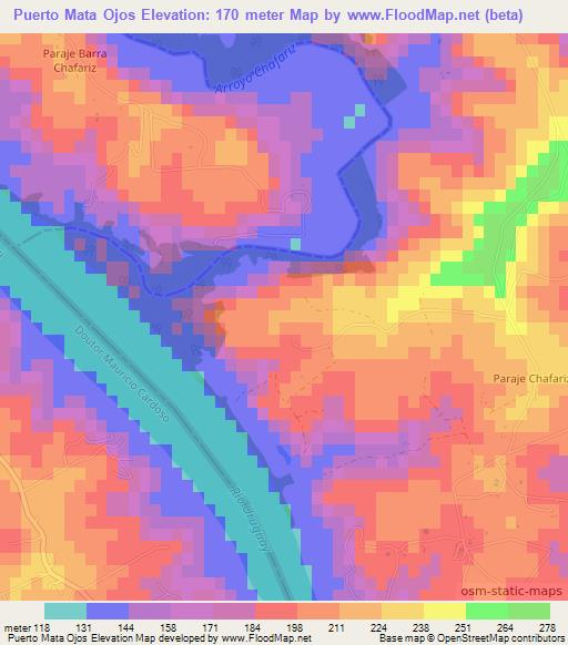Puerto Mata Ojos,Argentina Elevation Map