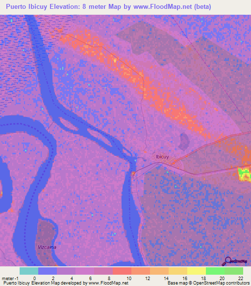 Puerto Ibicuy,Argentina Elevation Map