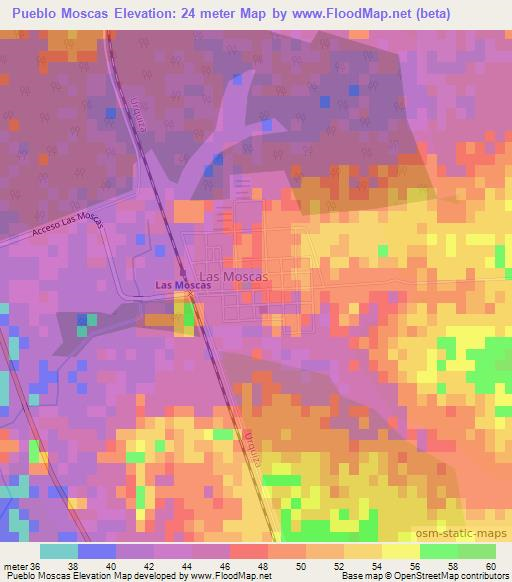 Pueblo Moscas,Argentina Elevation Map