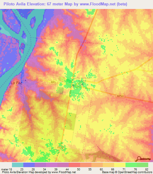 Piloto Avila,Argentina Elevation Map