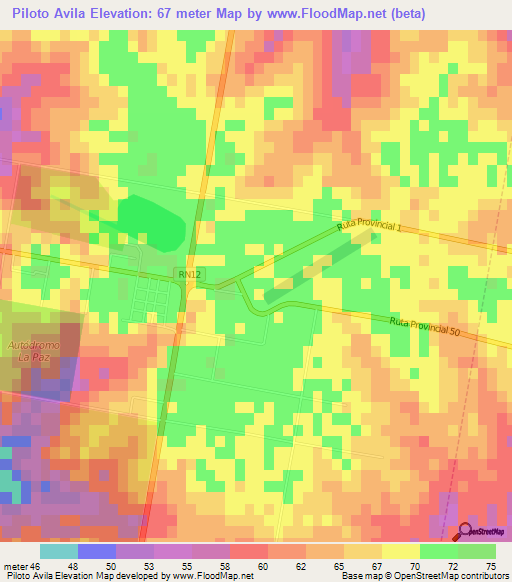 Piloto Avila,Argentina Elevation Map