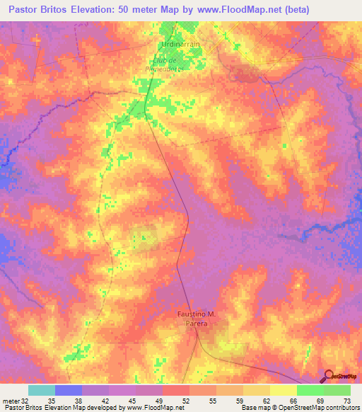 Pastor Britos,Argentina Elevation Map