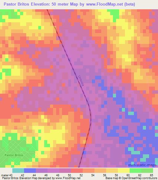 Pastor Britos,Argentina Elevation Map