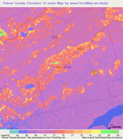 Palmar Grande,Argentina Elevation Map