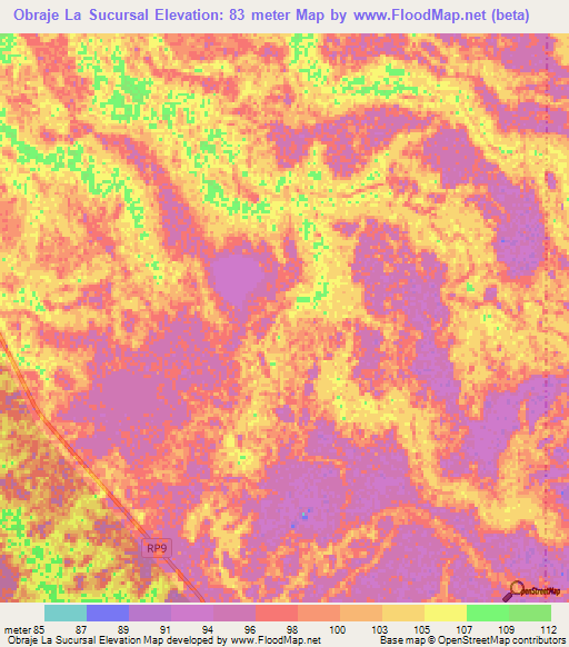 Obraje La Sucursal,Argentina Elevation Map