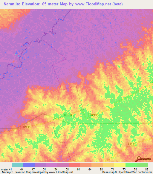 Naranjito,Argentina Elevation Map