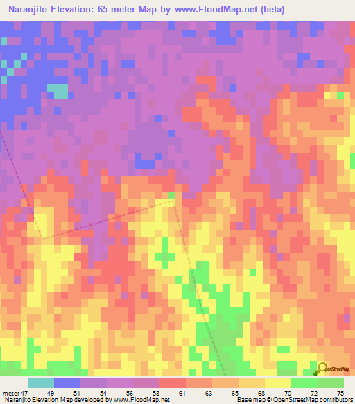 Naranjito,Argentina Elevation Map