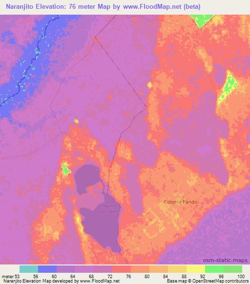 Naranjito,Argentina Elevation Map