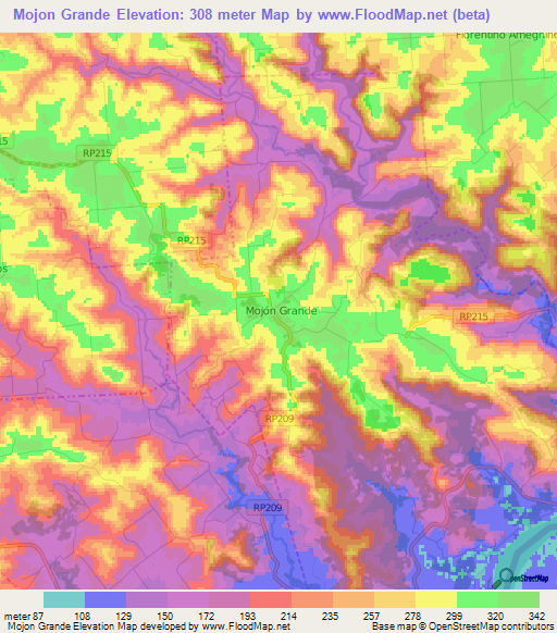 Mojon Grande,Argentina Elevation Map