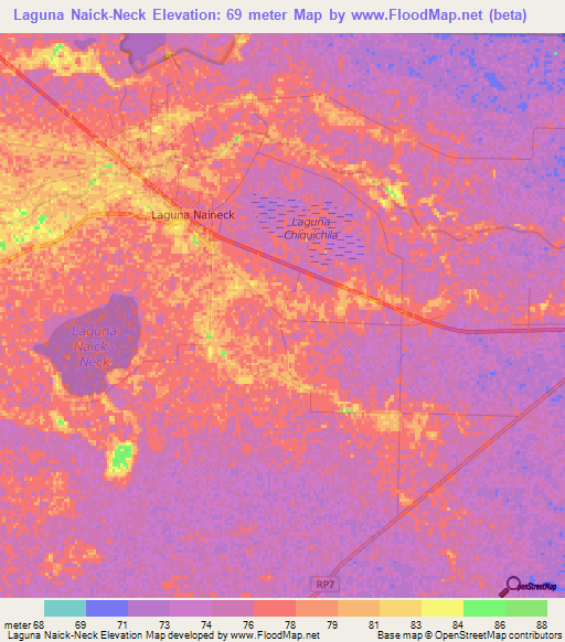 Laguna Naick-Neck,Argentina Elevation Map