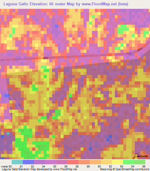 Laguna Gallo,Argentina Elevation Map