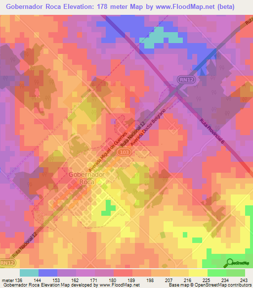 Gobernador Roca,Argentina Elevation Map
