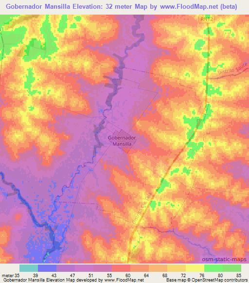 Gobernador Mansilla,Argentina Elevation Map