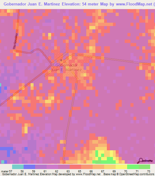 Gobernador Juan E. Martinez,Argentina Elevation Map